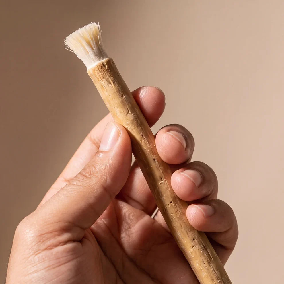 Miswak for White and Healthy Smiles